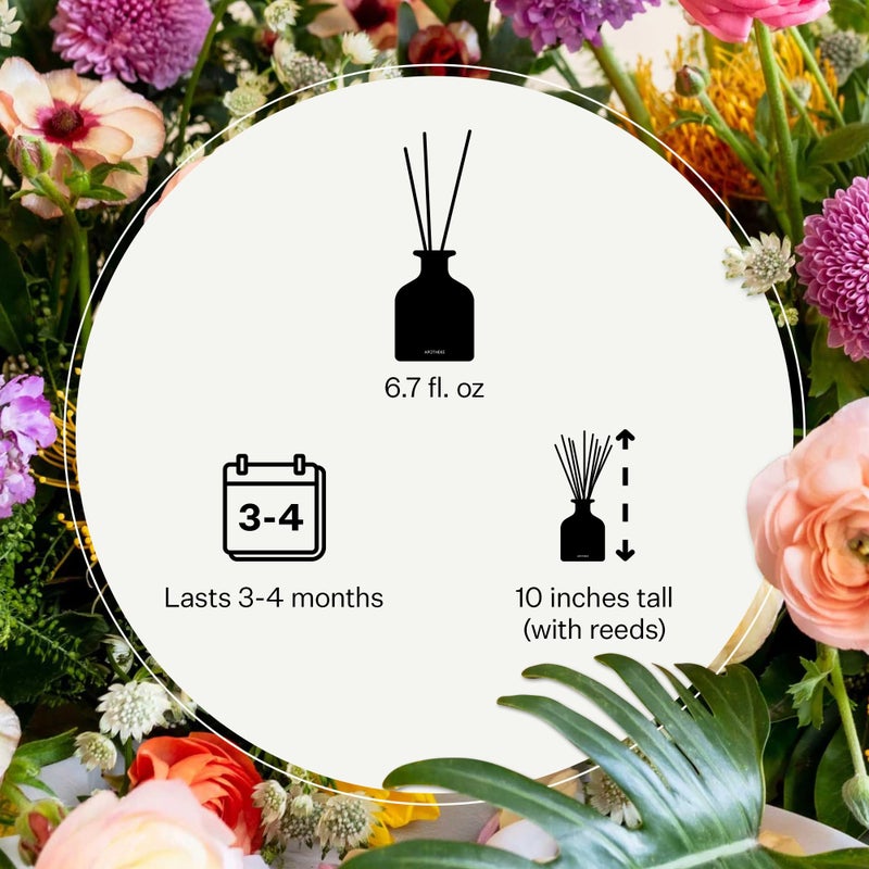 Apotheke Luxury Scented Reed Diffuser for Home, Charcoal - 6.7 Fl Oz Essential Oil Aromatherapy - 10 Rattan Scent Sticks Room Diffuser - Long-Lasting Fragrance for Bedroom, Home, Bathroom - Image 3
